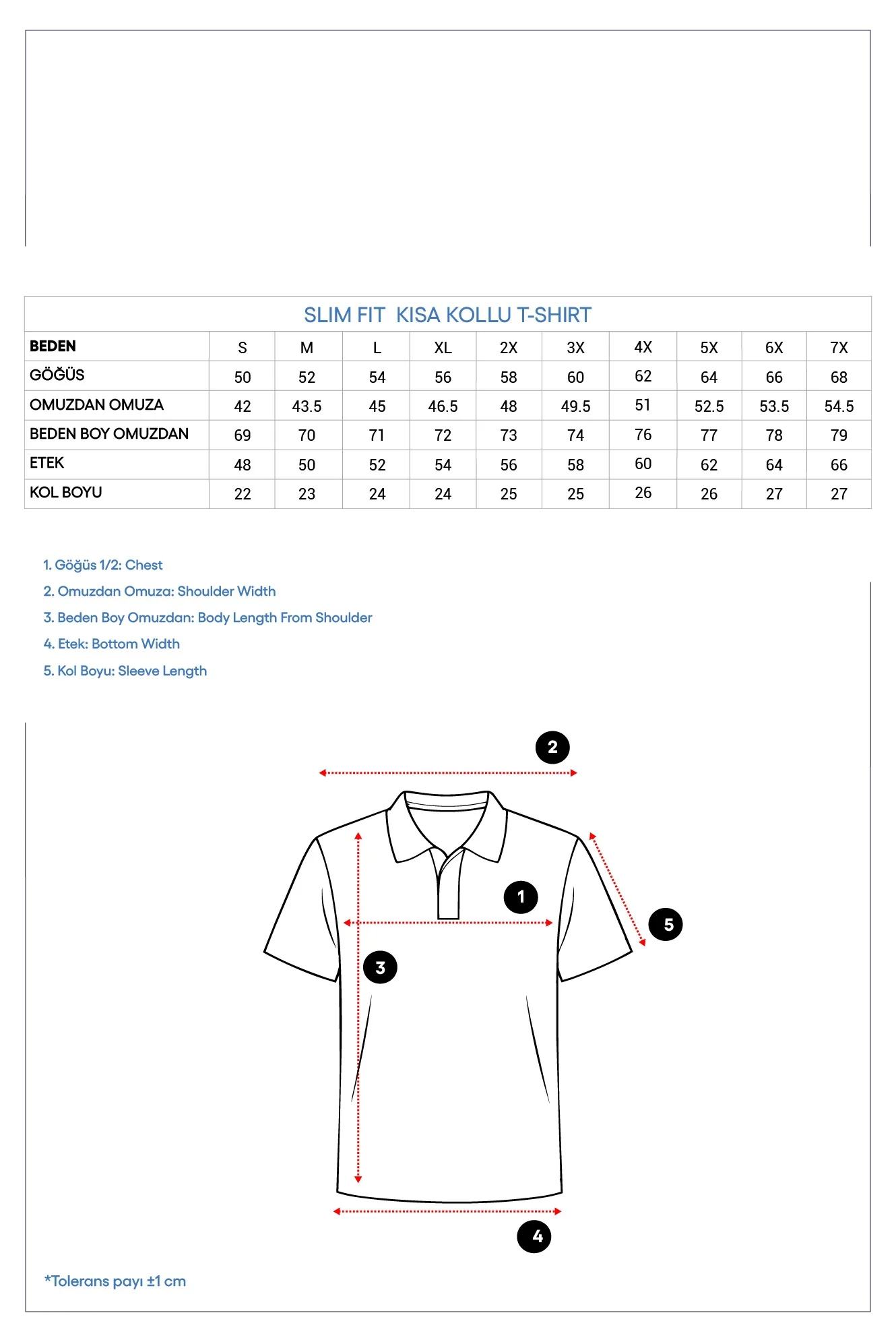 Açık Mavi Polo Yaka Slim Fit Nakışlı %100 Pamuk Tişört - Image 6