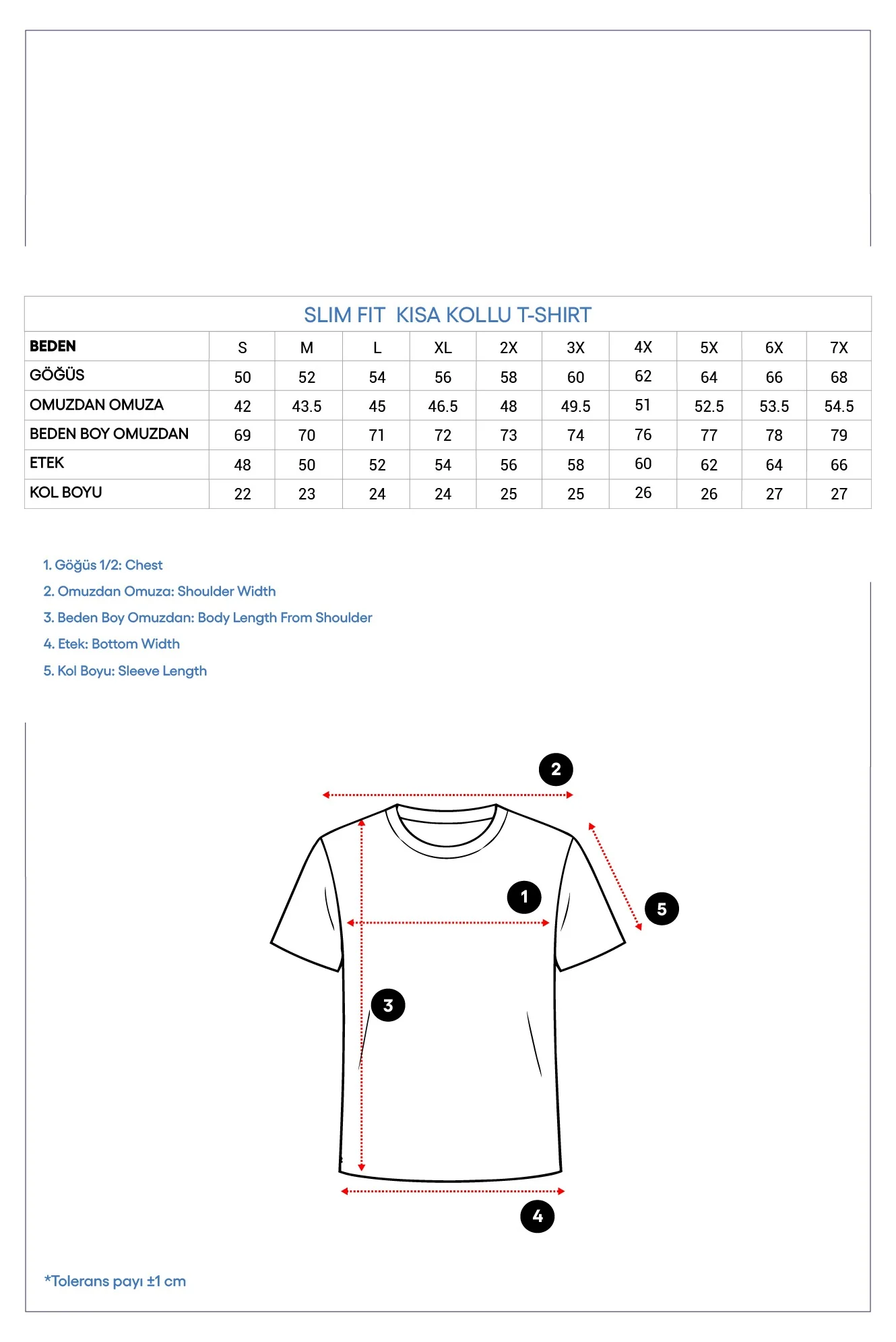 Beyaz Bisiklet Yaka Slim Fit Yumuşak Dokulu Pamuklu Likralı Esnek Tişört - Image 10